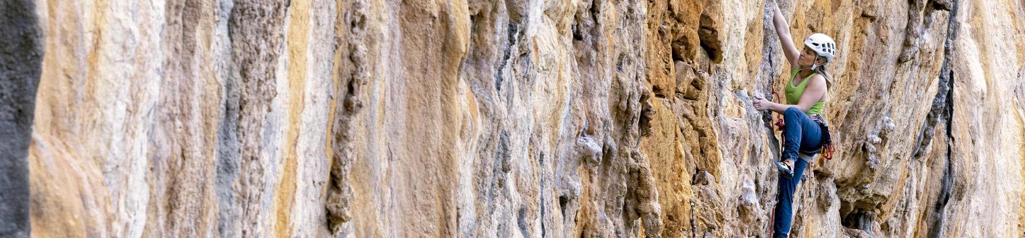 Innovation und Vielfalt für jeden Aufstieg