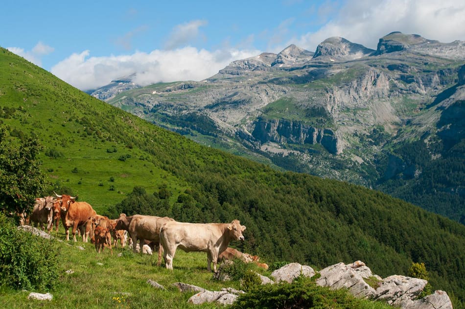 Feixas, Pirineos, Ordesa, Travesías Circulares