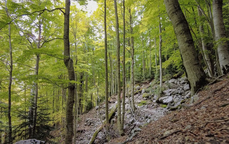 Feixas, Pirineos, Ordesa, Travesías Circulares