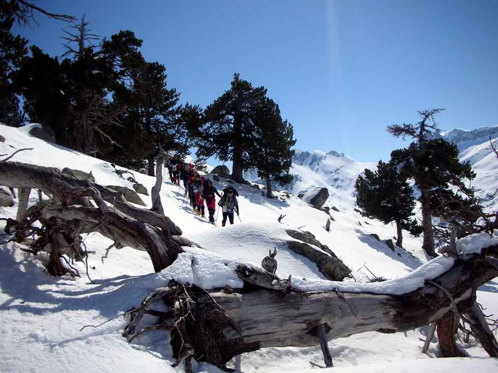 Senderismo, Trekking, Invernal, Raquetas, Consejos, Planificación, Nieve