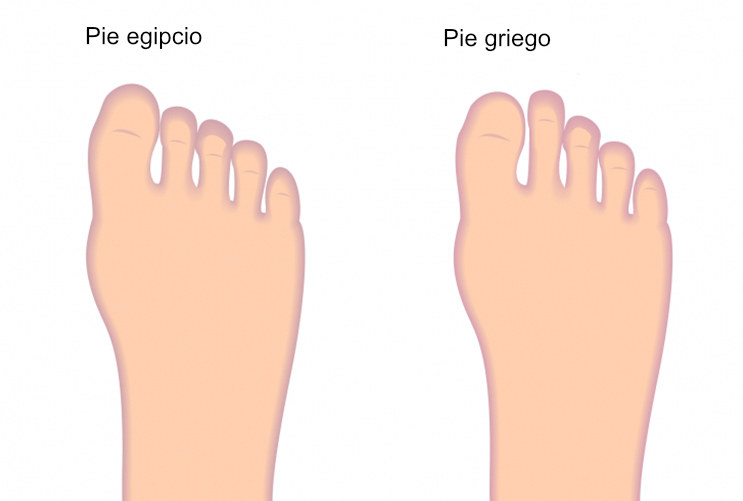 Scarpa, Pies de gato