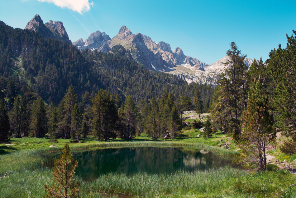 Carreras por montaña, Trail Running, Consejos
