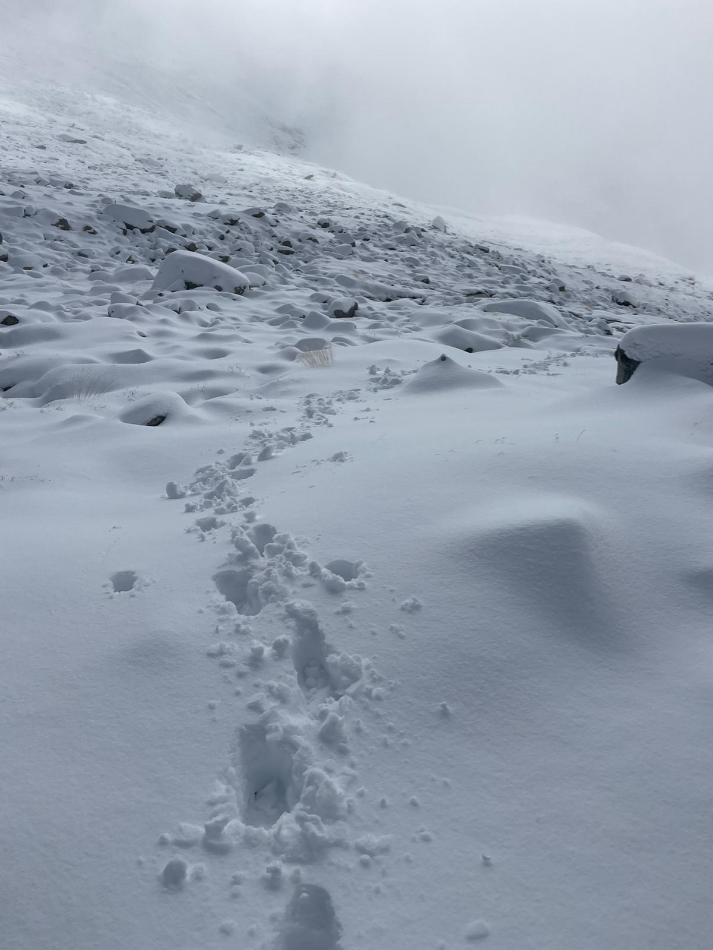 Calzado de invierno, consejos