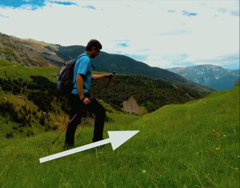 Bastones, Trekking, Montaña, Senderismo, Elegir talla