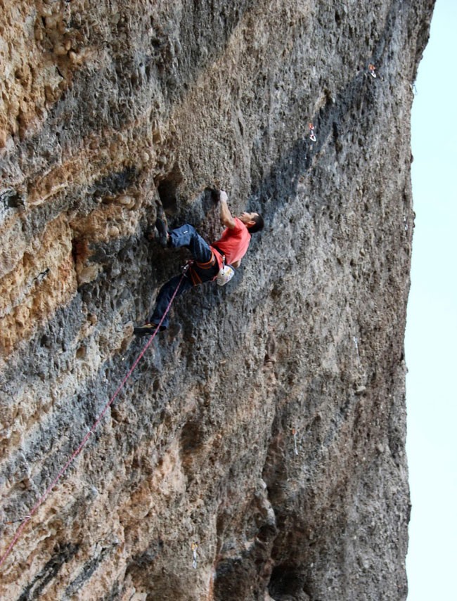 M. Alba