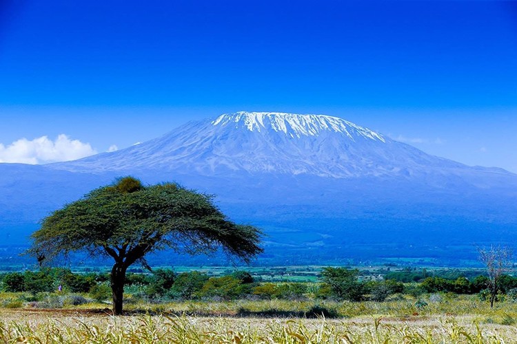 Kilimanjaro, escenario del récord de Fernanda Maciel. Foto: The North Face
