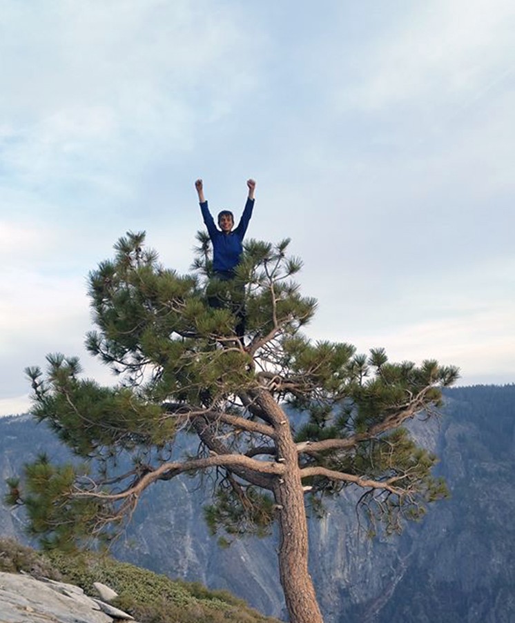 Más alto imposible. Connor Herson en el árbol de cima de El Capitan. Foto: Facebook Jim Herson