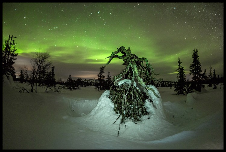 Aurora Boreal en el P.N. Risitunturi de Finlandia. Foto: Javier Camacho