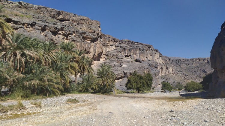Wadi Dham. Foto: Ibarz, Montoya y Recio