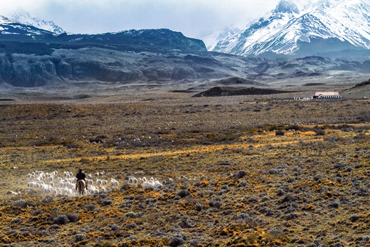 Rancho en Patagonia que abastece a Devold. Foto: Devold