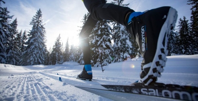 Esquí de fondo, estilo clásico. Foto: Salomon