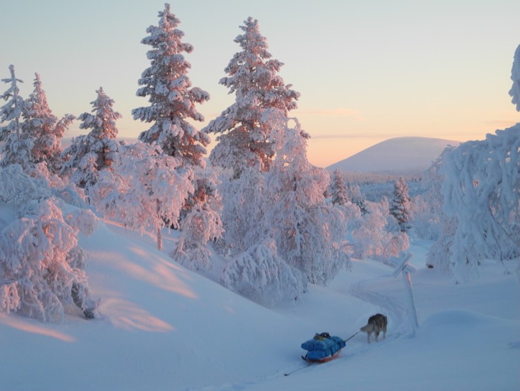 José Mijares y Lonchas, invierno en la Laponia finlandesa. Foto: José Mijares