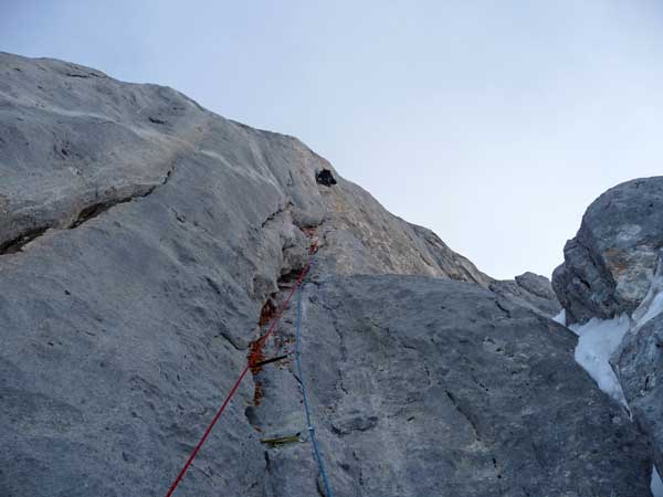 Óscar Palacios, Álvaro Novellón