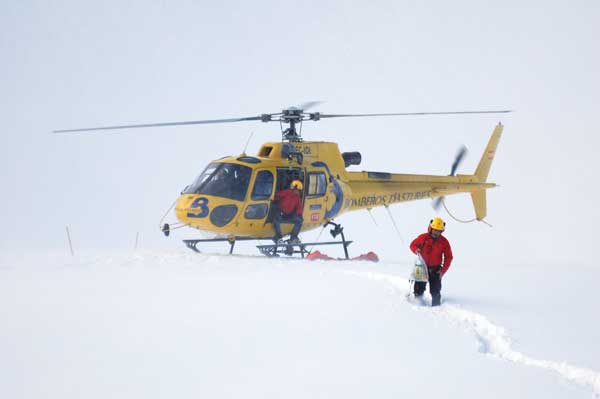 Óscar Palacios, Álvaro Novellón
