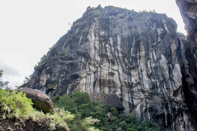 The North Face Journal