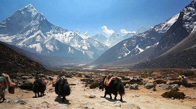 El Everest desde casa: Google Street View incorpora el tour virtual del valle del Khumbu a su colección