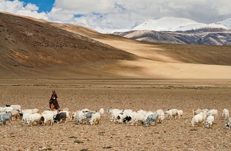 Descubierto el gen ancestral que permite a los tibetanos vivir con un 40% menos de oxígeno