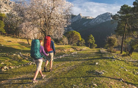 Cómo elegir tu mochila para montañismo, trekking y senderismo