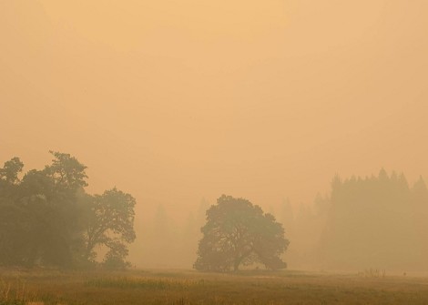El Parque Nacional de Yosemite, cerrado por el humo de los incendios californianos