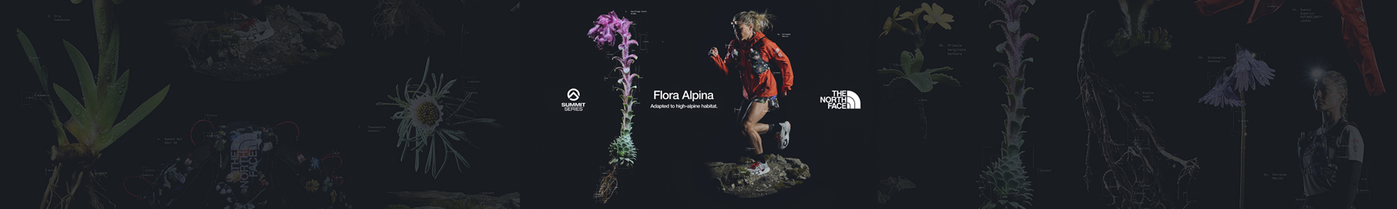 The North Face Vectiv Flora Alpina