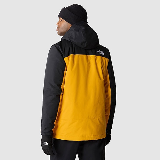 Chaqueta the north face Freedom Insulated Jacket 