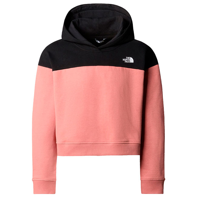  the north face Drew Peak Crop Pullover Hoodie Girl