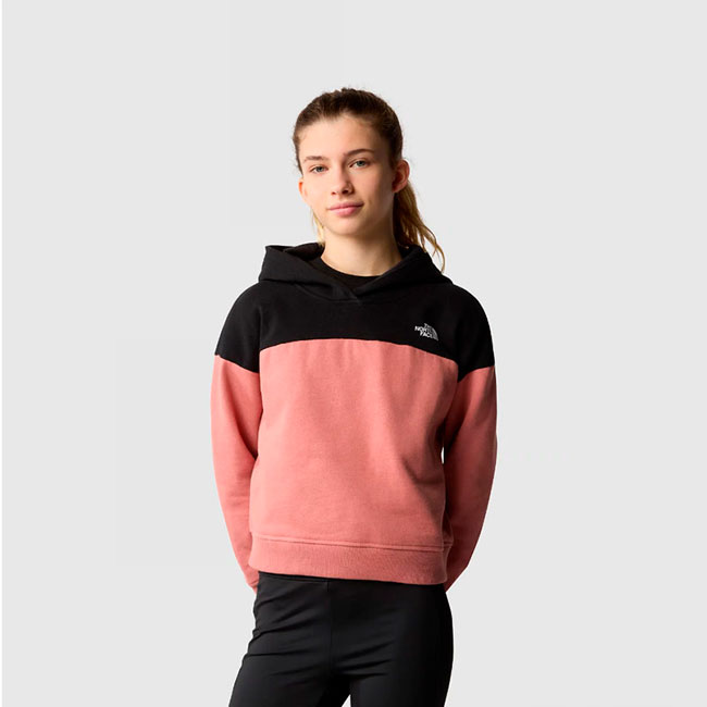  the north face Drew Peak Crop Pullover Hoodie Girl