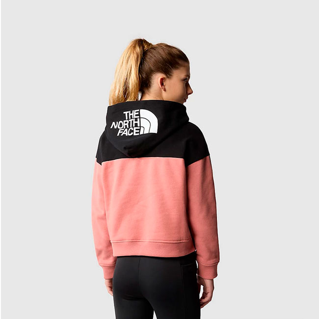  the north face Drew Peak Crop Pullover Hoodie Girl