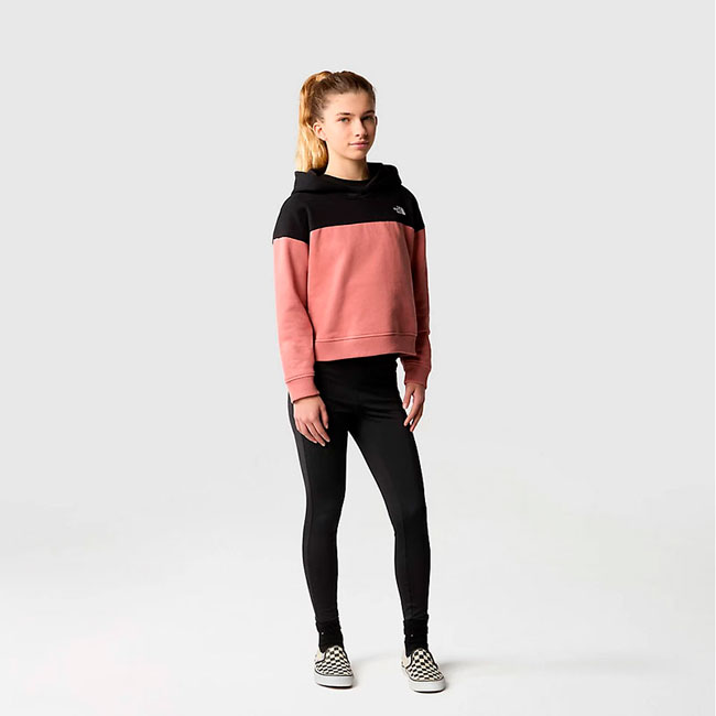  the north face Drew Peak Crop Pullover Hoodie Girl