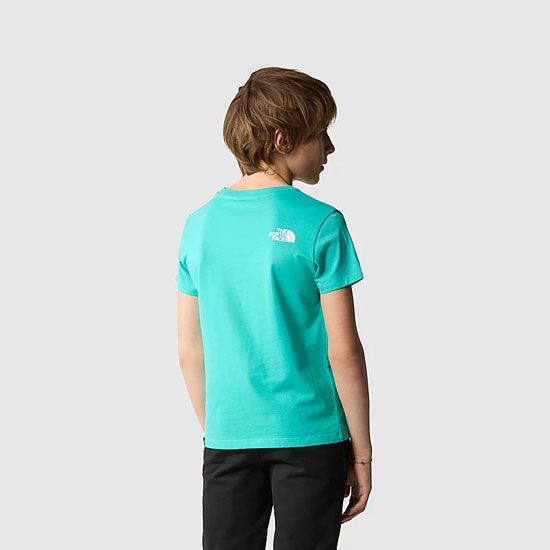 Camiseta the north face S/s Simple Dome Tee Teen