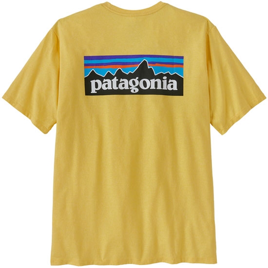 Camiseta patagonia P-6 Logo Responsibili Tee