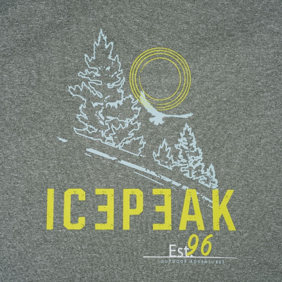 Camiseta icepeak Bearden T-Shirt