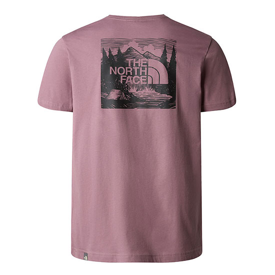  the north face Redbox Celebration Tee