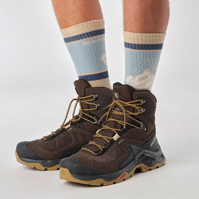 Salomon Quest Element Gtx