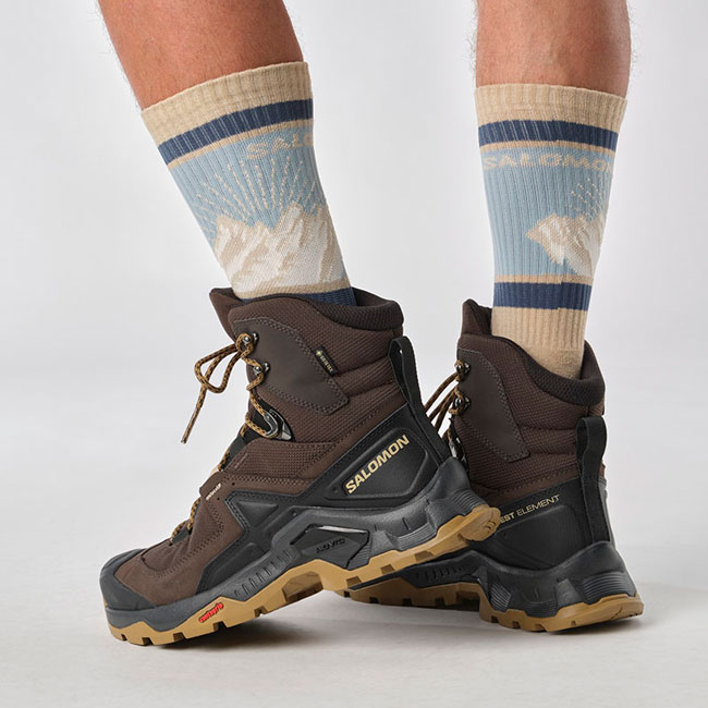 Salomon Quest Element Gtx