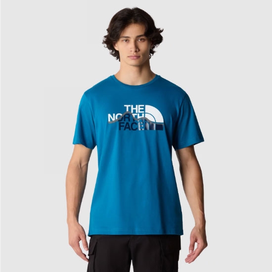 Camiseta the north face Mountain Line Tee