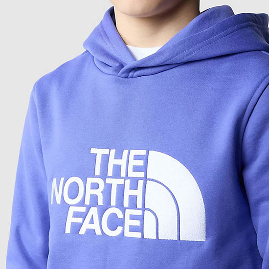  the north face Drew Peak P/O Hoodie Boy