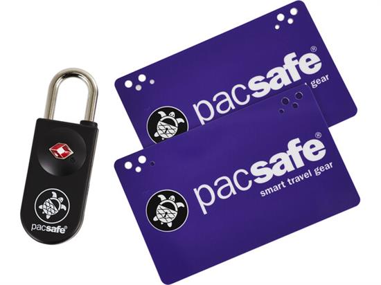Pacsafe Prosafe 750 Black Barrabes