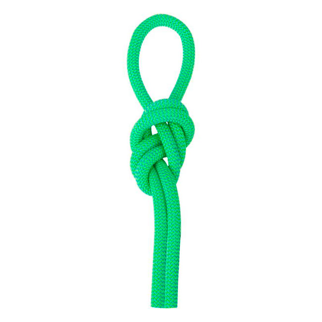  salewa Speed Queen 9,1 Mm 80M Rope Green/Blue