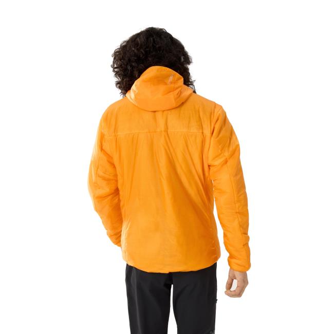 Arc'teryx Nuclei Hoody M Edziza