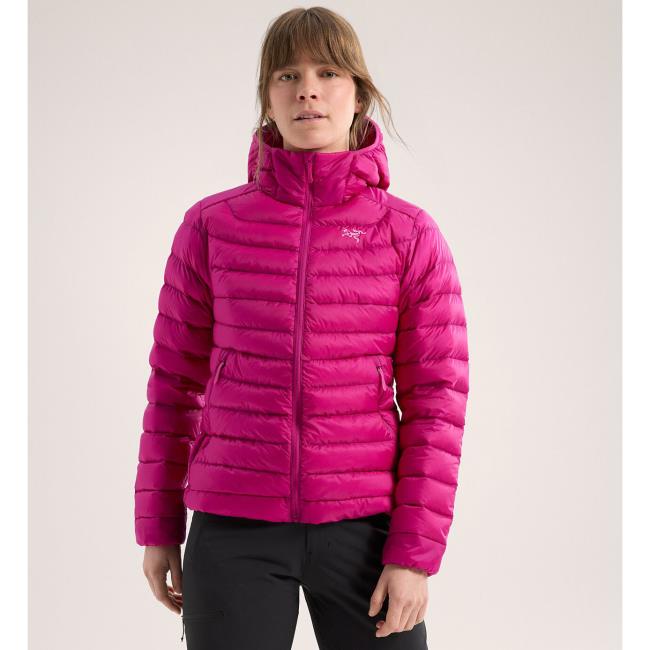 Striukė arc'teryx Cerium Hoody W
