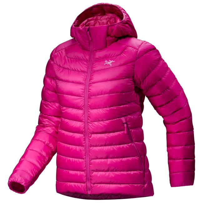 Striukė arc'teryx Cerium Hoody W