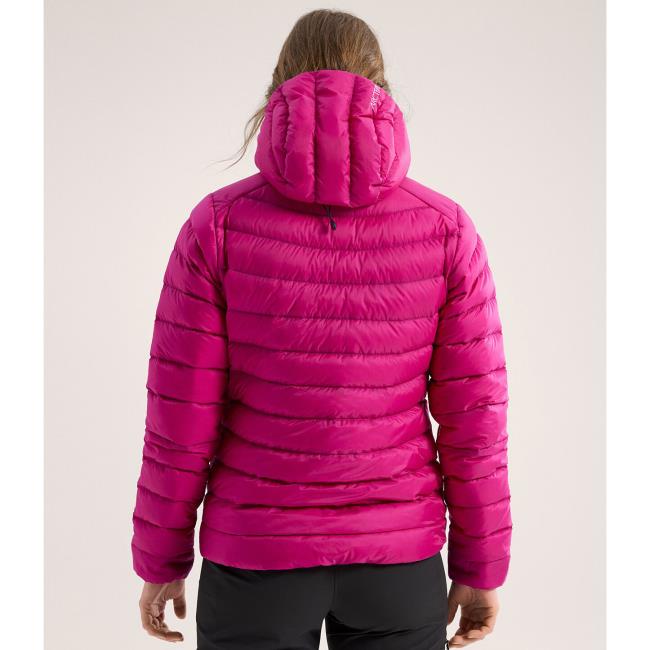 Striukė arc'teryx Cerium Hoody W