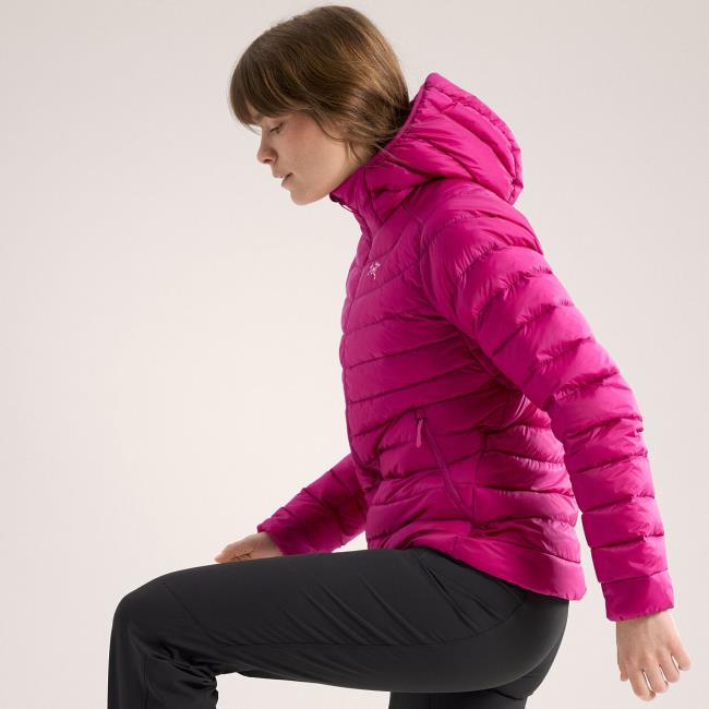 Striukė arc'teryx Cerium Hoody W