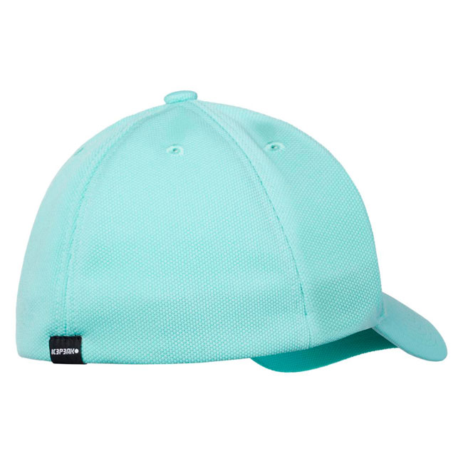  icepeak Holdrege