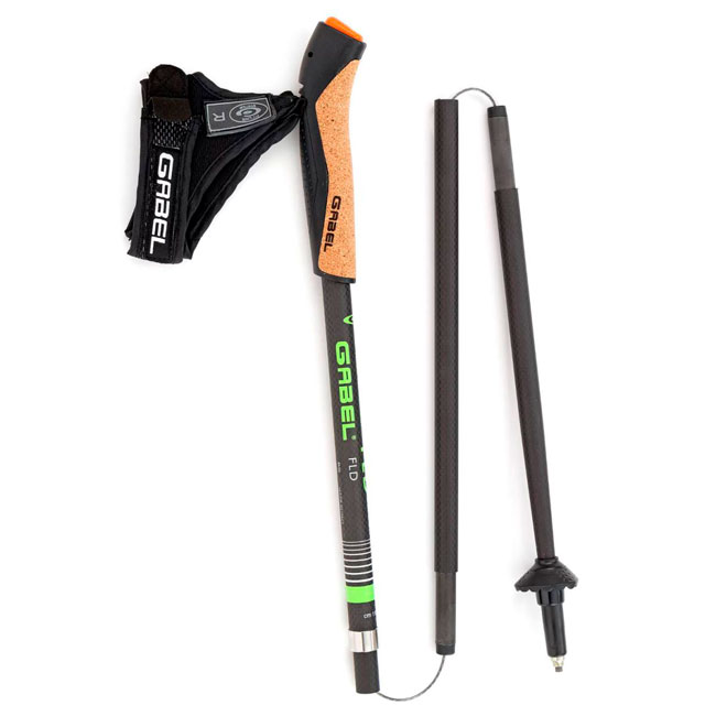  gabel FLD Carbon