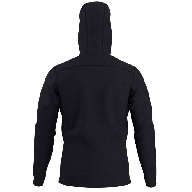 Arc'teryx Rho Lt Hoody
