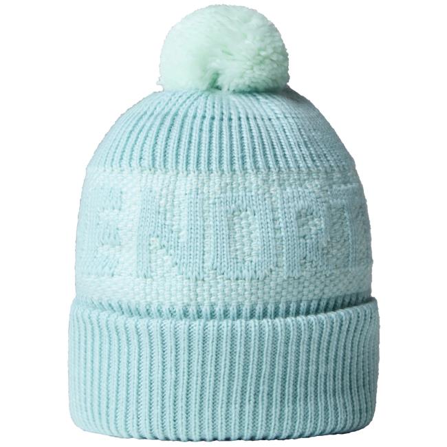  the north face RETRO CABIN BEANIE Muted Pine/Pale Green