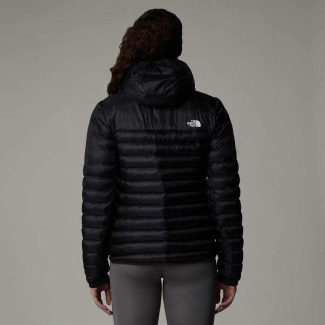  the north face Terra Peak Hoodie W