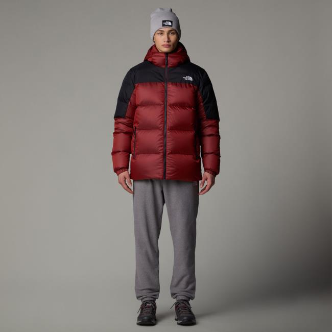  the north face Diablo Down Hoodie